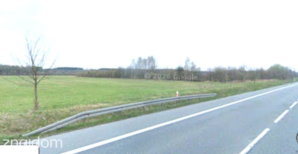 sprzedaż działka inwestycyjna 2.0205ha Grodziec - zdjęcie 3