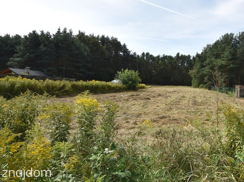 Sprzedaż domu z 3 dziakłami 33ar,Szczedrzyk,Opole. - zdjęcie 7