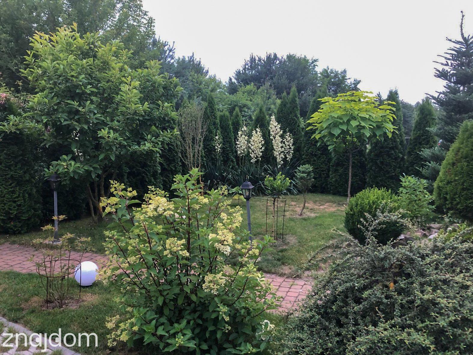 Dom ok 70m2, na działce 525m2, Ruszków gm.Brzeźnio - zdjęcie 5