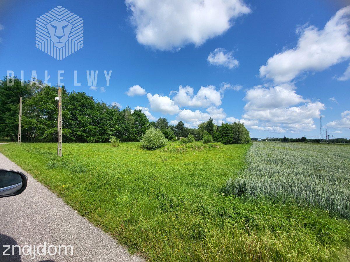 Działka 6400 m² sprzedaż Elżbietów, gmina Teresin - zdjęcie 3