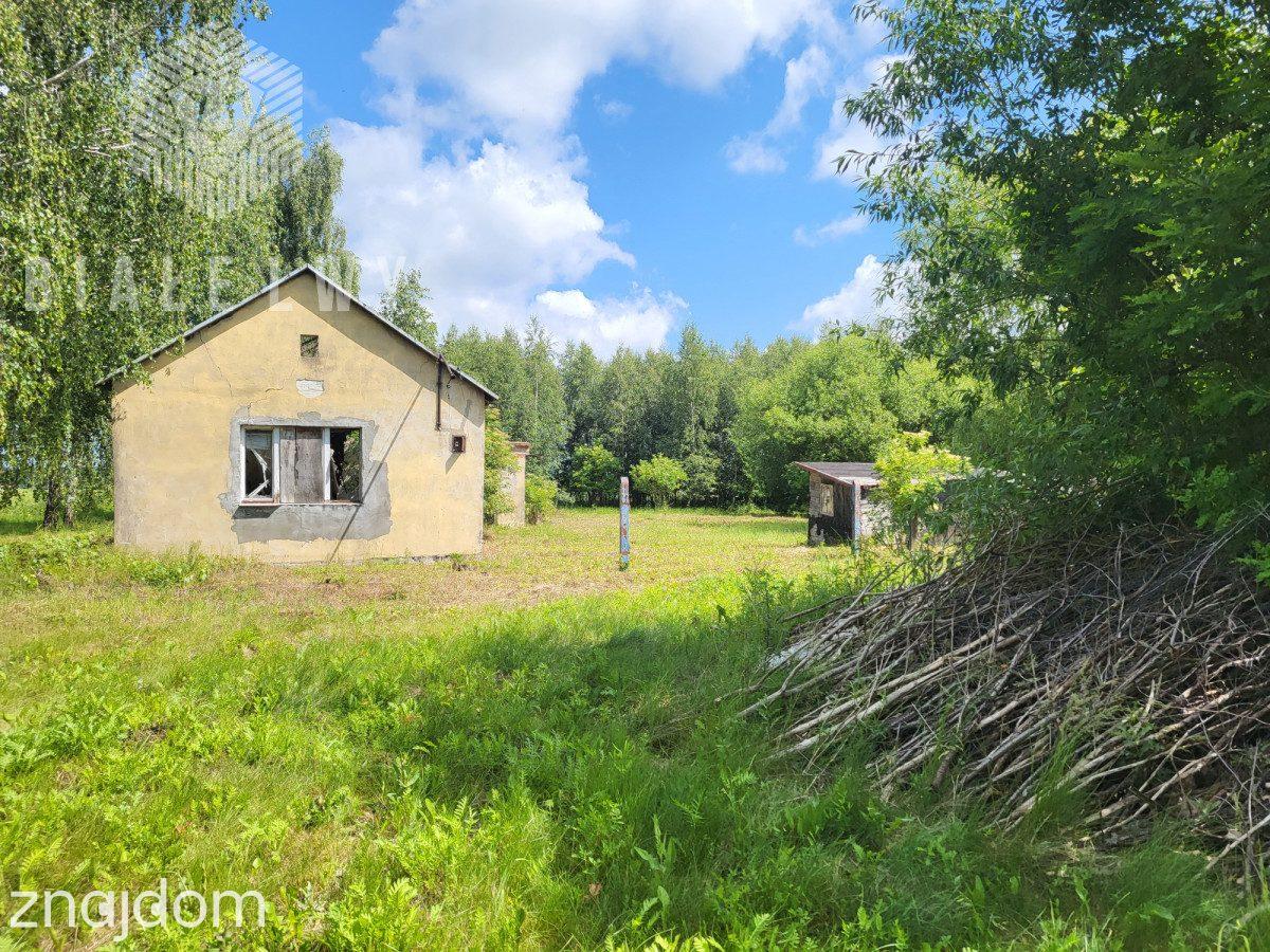 Działka 6400 m² sprzedaż Elżbietów, gmina Teresin - zdjęcie 4