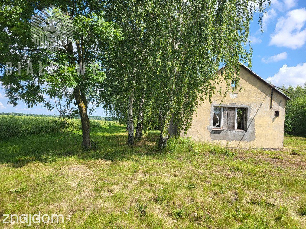 Działka 6400 m² sprzedaż Elżbietów, gmina Teresin - zdjęcie 5