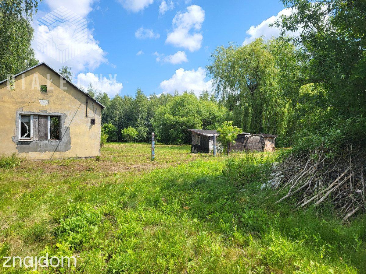 Działka 6400 m² sprzedaż Elżbietów, gmina Teresin - zdjęcie 6