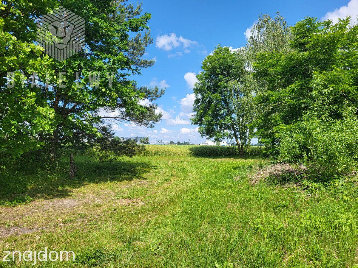 Działka 6400 m² sprzedaż Elżbietów, gmina Teresin - zdjęcie 7