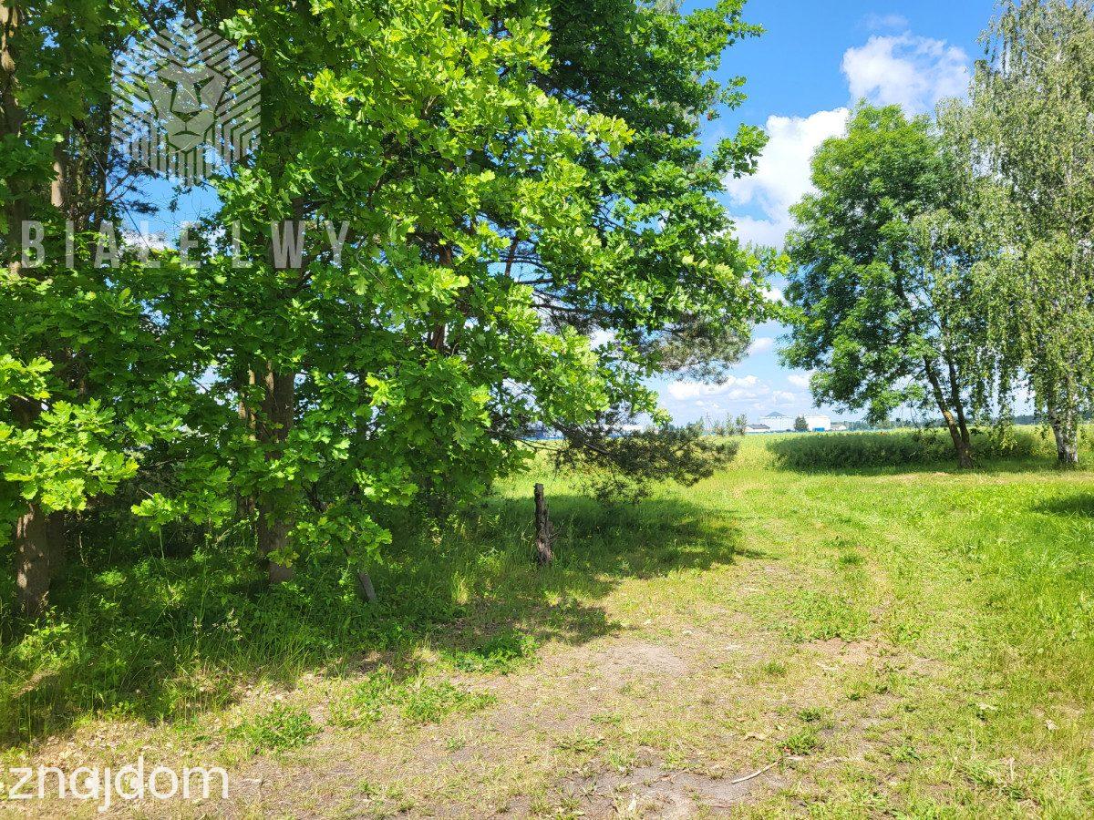 Działka 6400 m² sprzedaż Elżbietów, gmina Teresin - zdjęcie 8