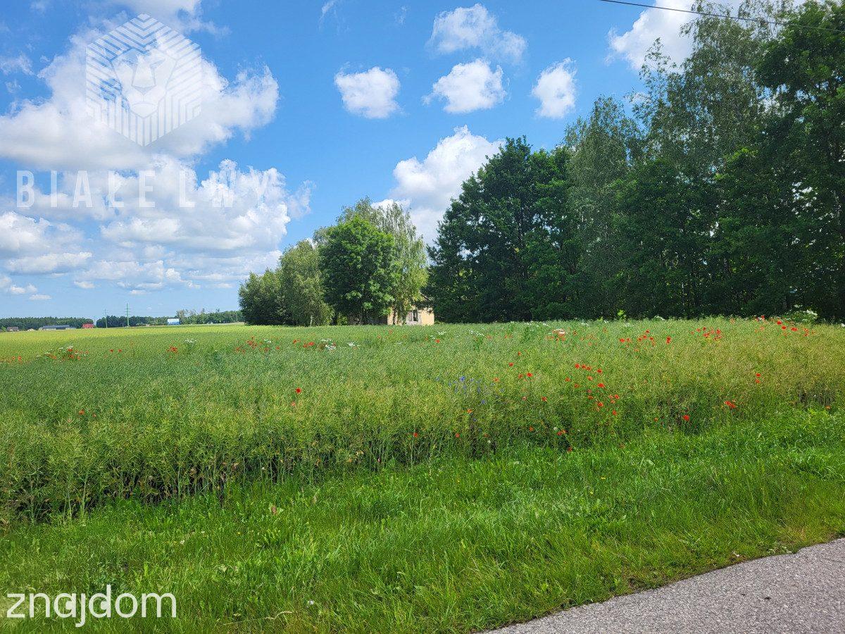 Działka 6400 m² sprzedaż Elżbietów, gmina Teresin - zdjęcie 9