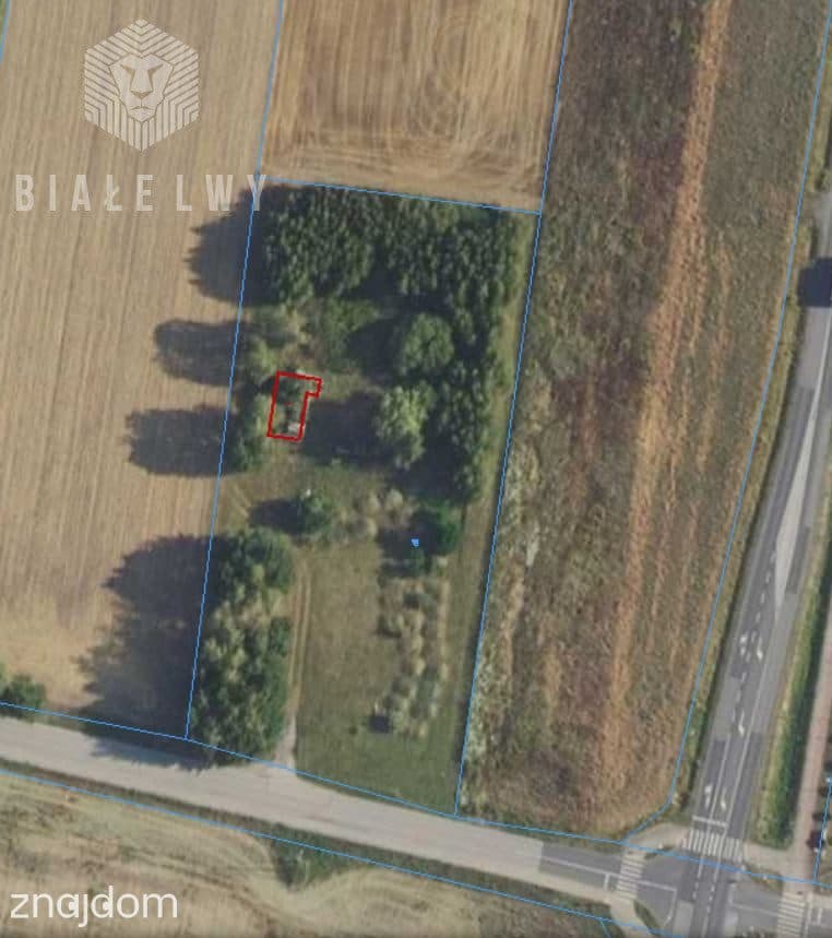 Działka 6400 m² sprzedaż Elżbietów, gmina Teresin - zdjęcie 2