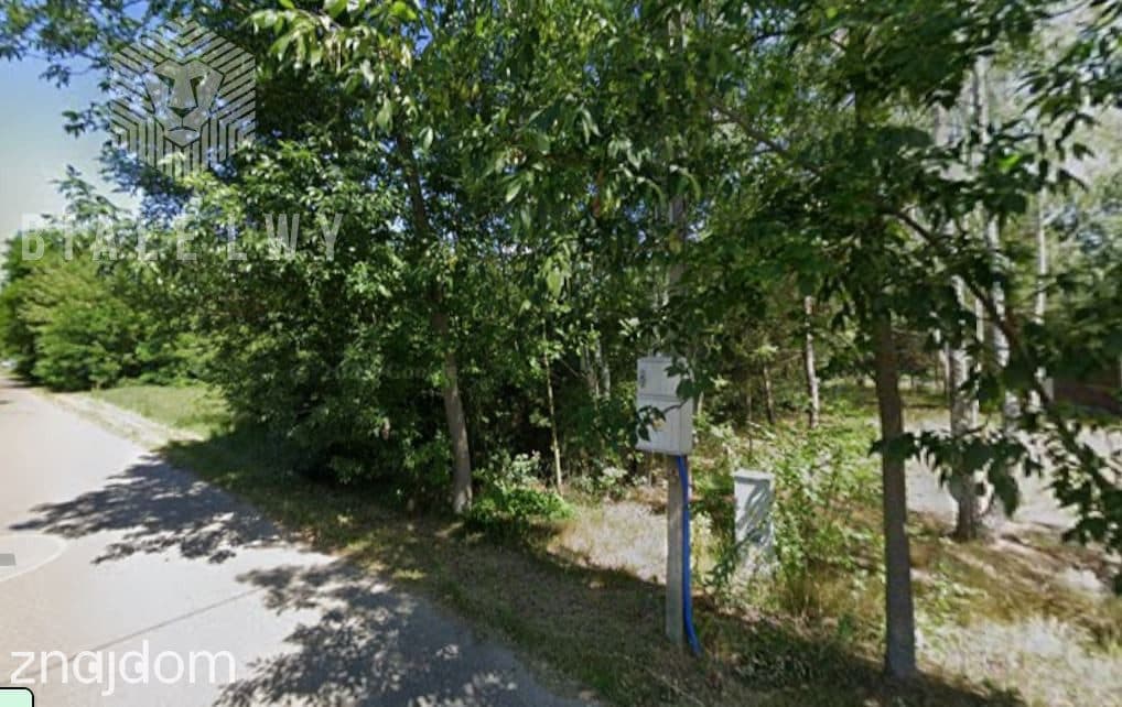 1,13 ha | Działka z częścią budowlaną | Las | Zabł - zdjęcie 3