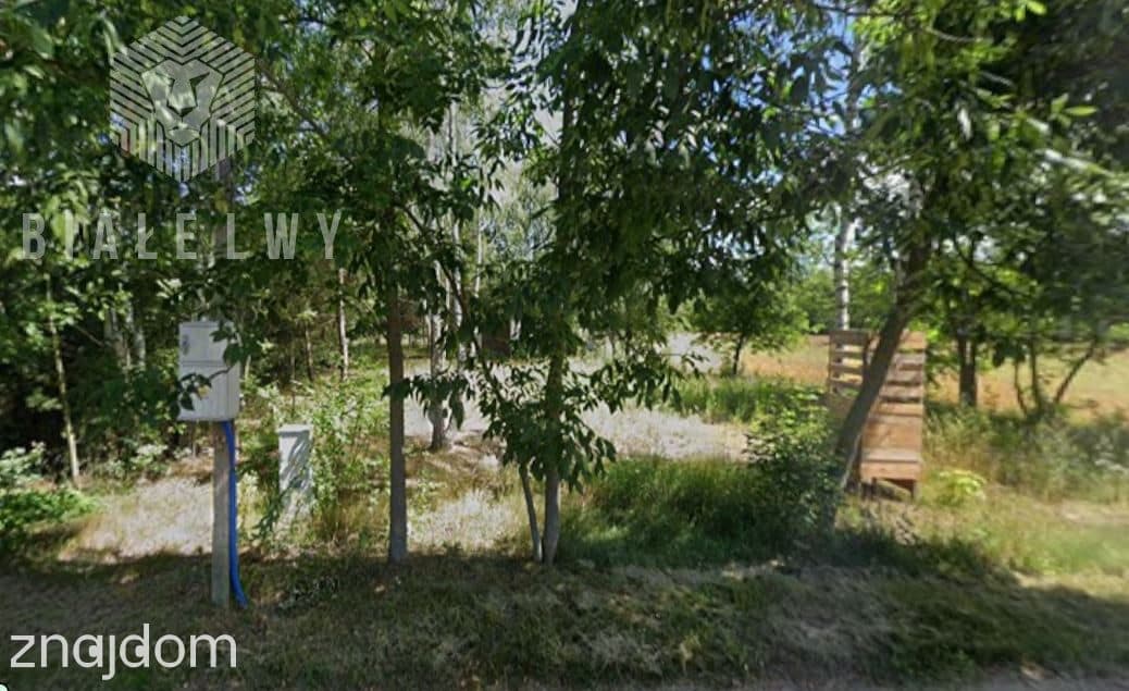1,13 ha | Działka z częścią budowlaną | Las | Zabł - zdjęcie 4