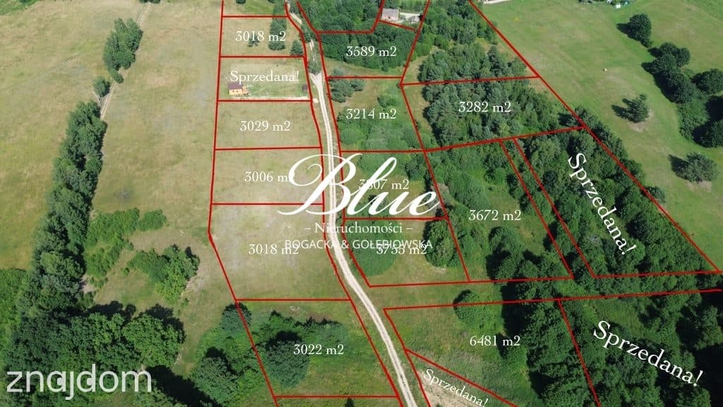 Działki nad jeziorem Niecino | Borne | od.3000m2 - zdjęcie 13