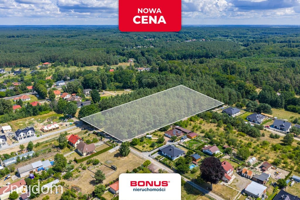 Działka leśna w Szczecinie
