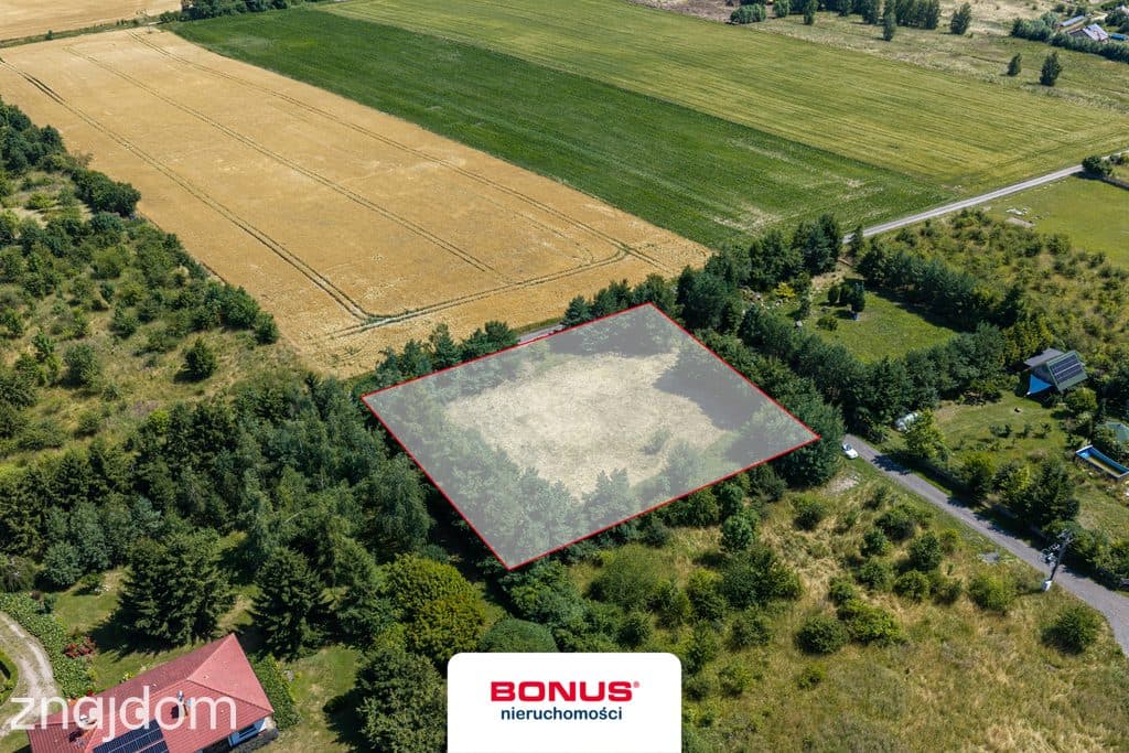 Działka 2278m2 jedynie 20 min. od Szczecina - zdjęcie 3