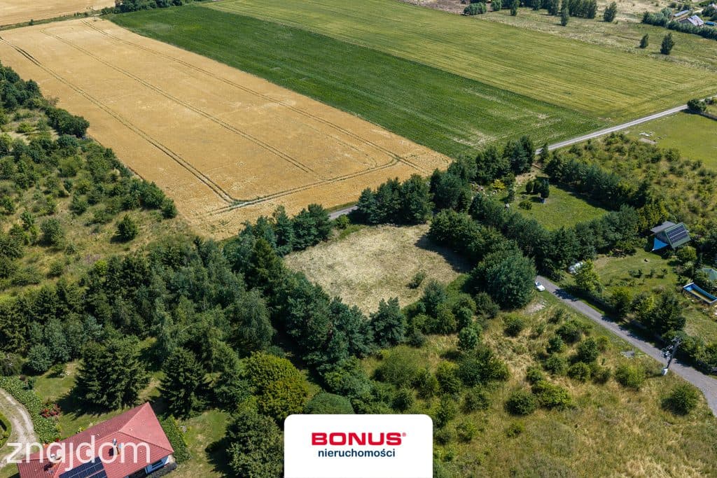 Działka 2278m2 jedynie 20 min. od Szczecina - zdjęcie 6