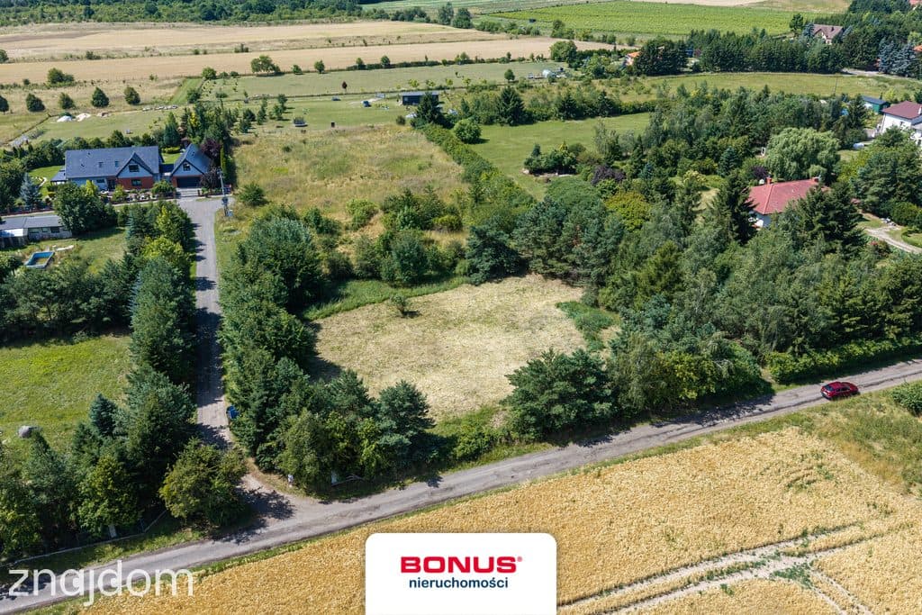 Działka 2278m2 jedynie 20 min. od Szczecina - zdjęcie 8