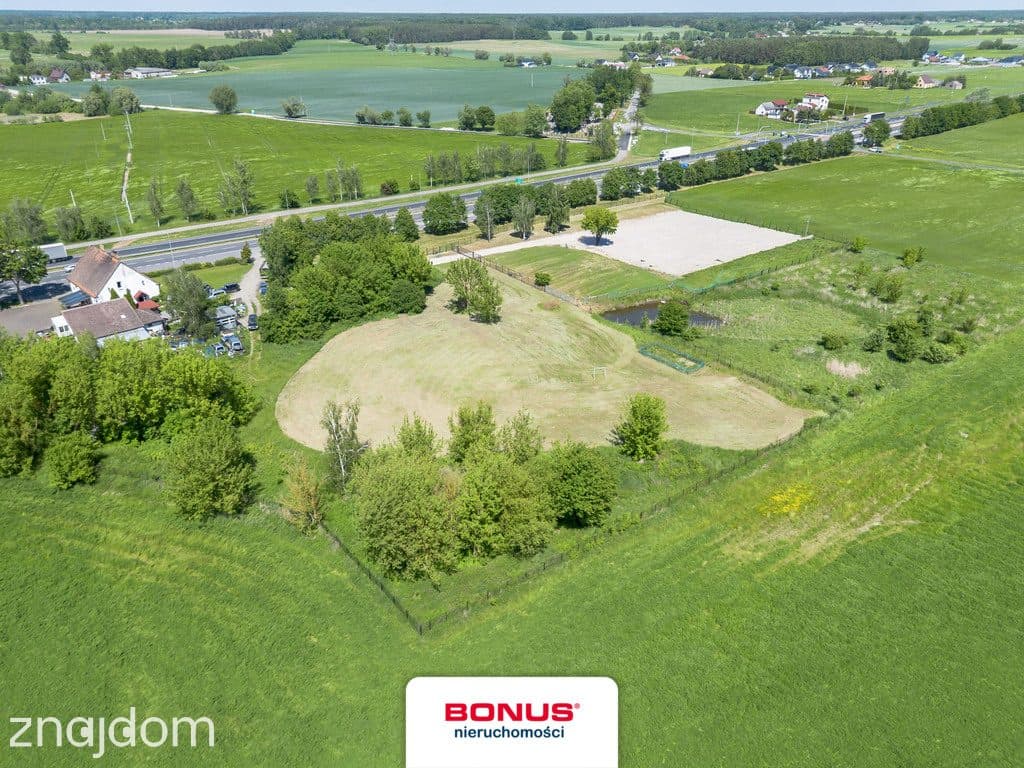 Działka inwestycyjna AG w Siedlcu k. Kostrzyna - zdjęcie 4