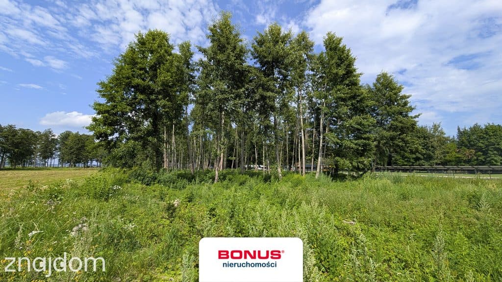 Działka budowlano-usługowa z linią brzegową - zdjęcie 9