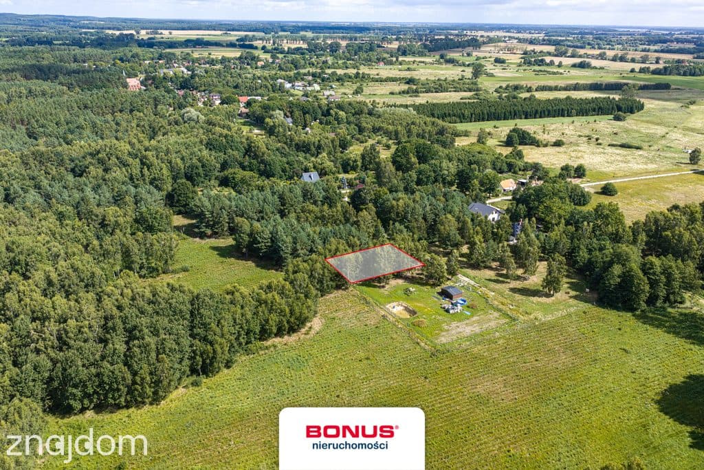 Działka z WZ | Las | 11 km od morza - zdjęcie 9