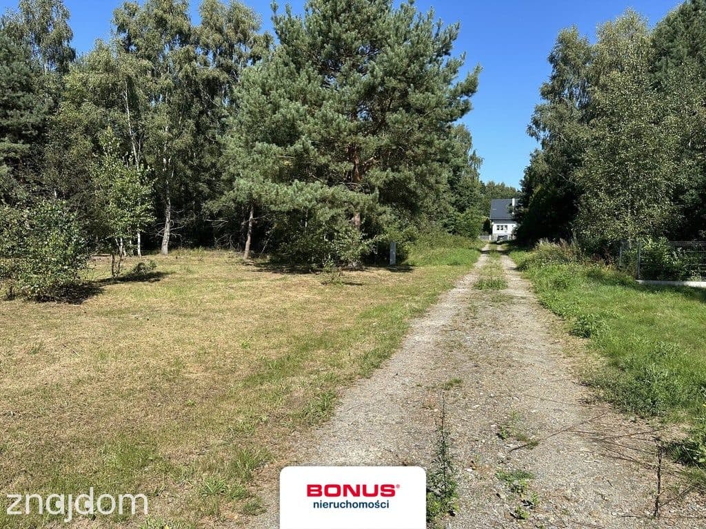 Działka z WZ | Las | 11 km od morza - zdjęcie 4