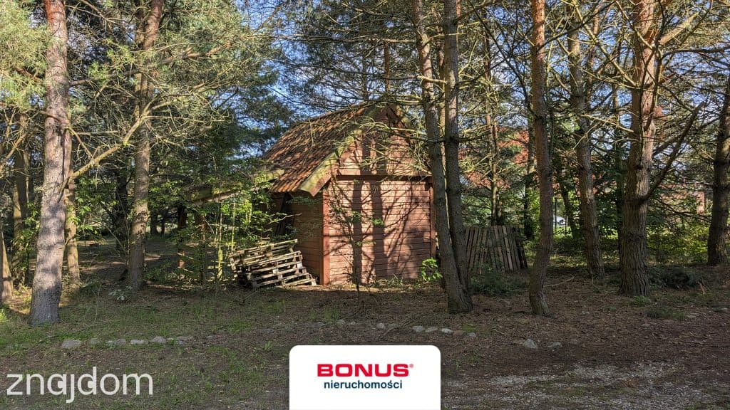 Mazury - dochodowa agroturystyka, 2 domy, 4,16 ha - zdjęcie 17
