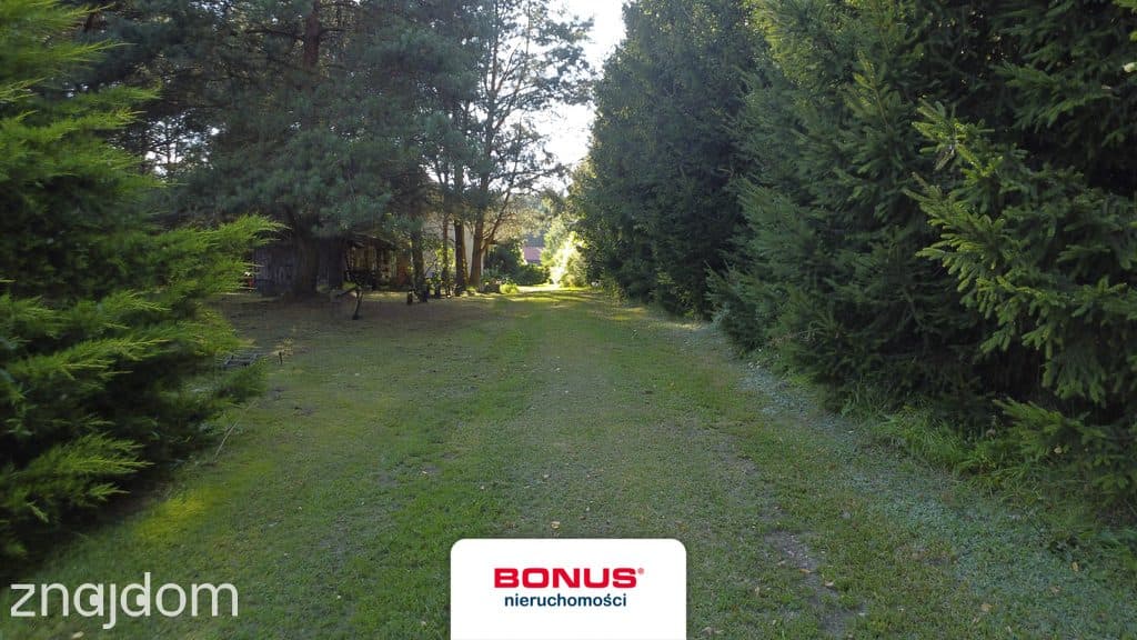 Mazury - dochodowa agroturystyka, 2 domy, 4,16 ha - zdjęcie 19