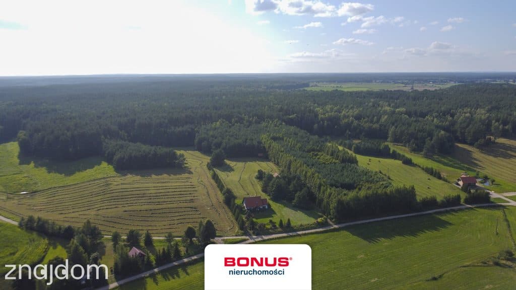 Mazury - dochodowa agroturystyka, 2 domy, 4,16 ha - zdjęcie 20