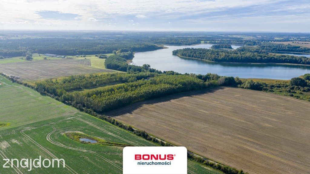 Własna linia brzegowa. Prywatny las. Jezioro. - zdjęcie 3