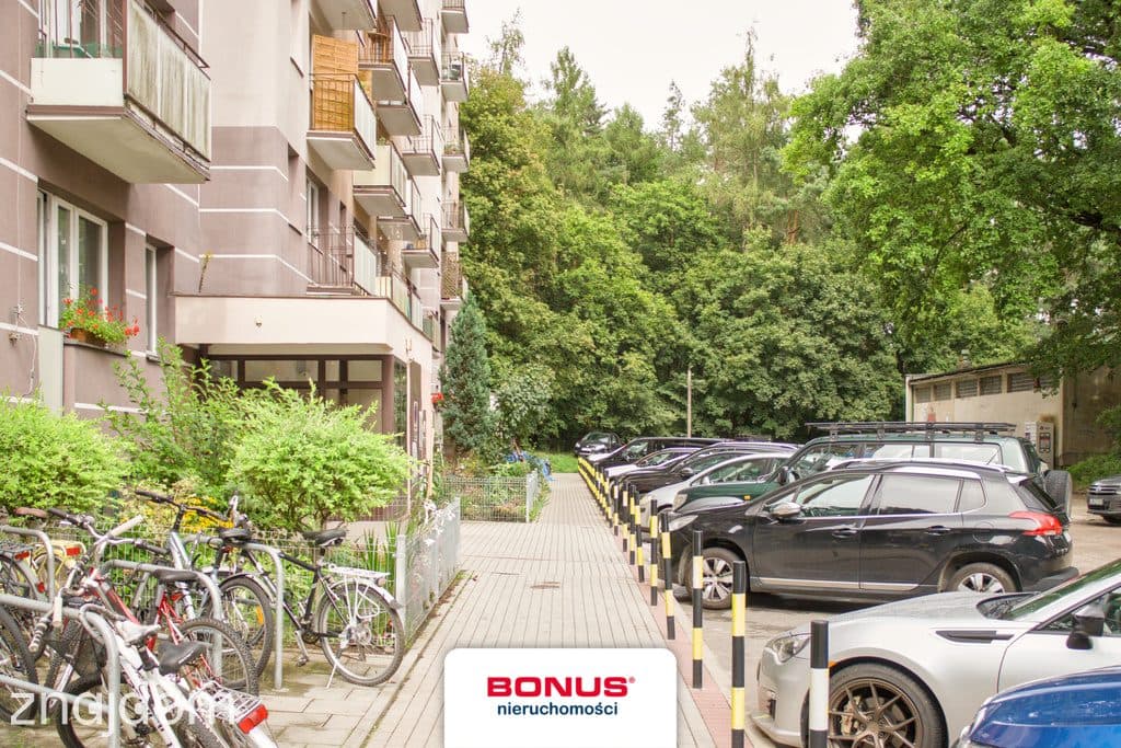 2 pokoje/po odświeżeniu/widok na las - zdjęcie 14