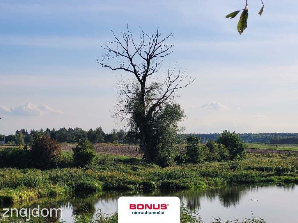 Działka rolno-budowlana Jawidz, gm.Spiczyn - zdjęcie 9