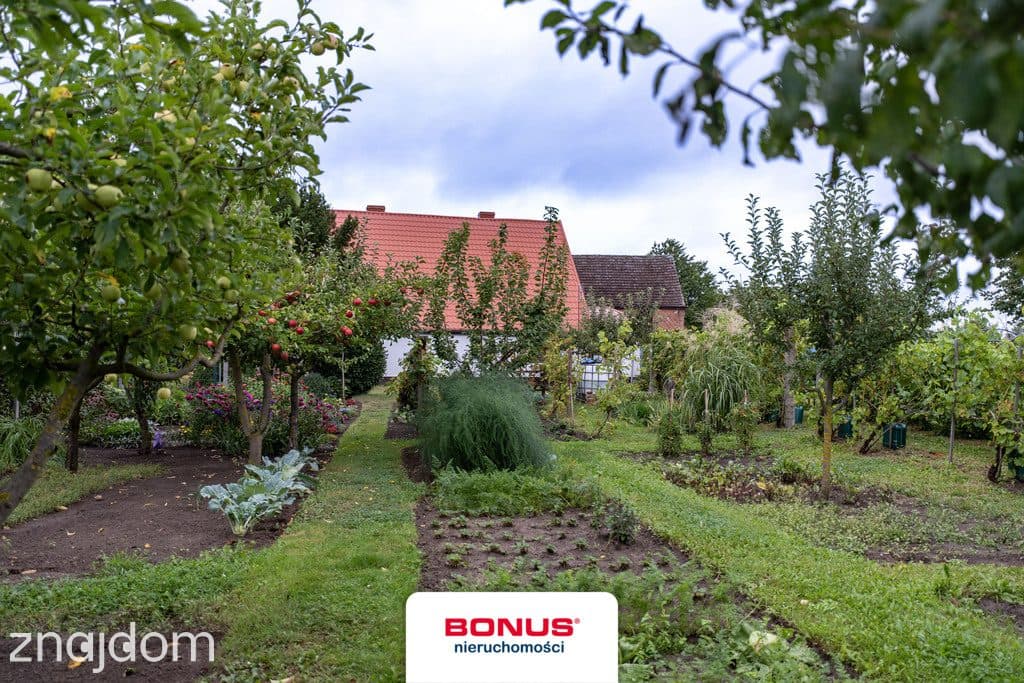Dom wolnostojący na działce 7900 m2 w Słodkowie. - zdjęcie 5