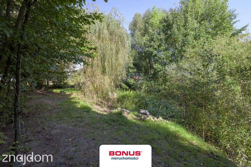 Działka, DOBRZYŃ - zdjęcie 4