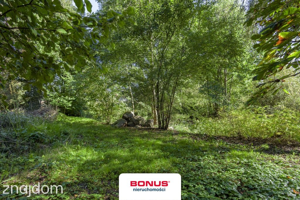 Działka, DOBRZYŃ - zdjęcie 6