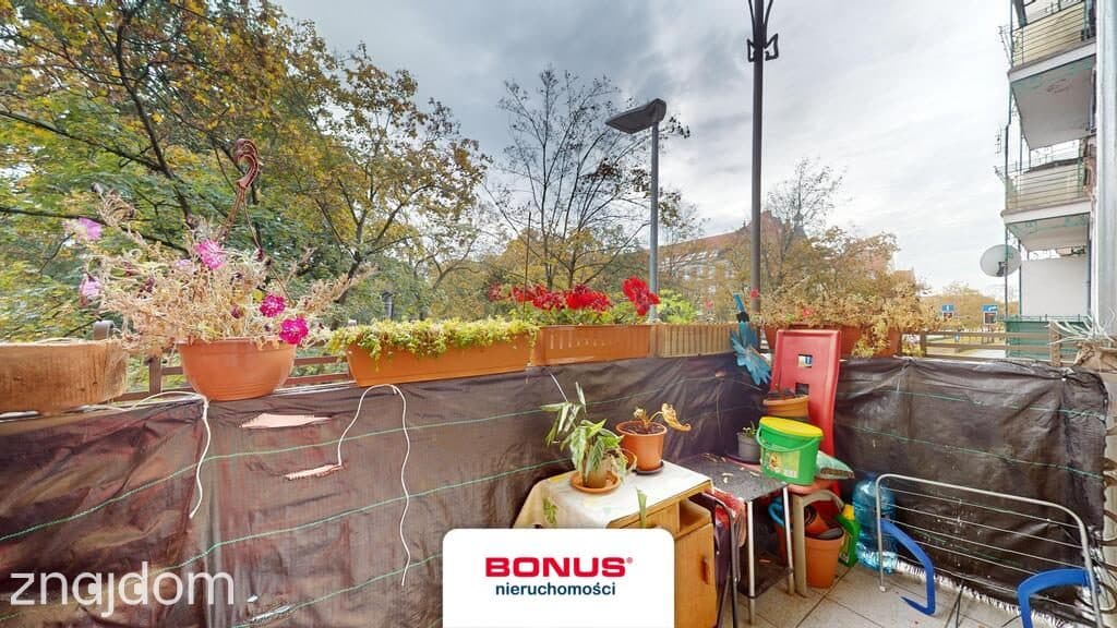 2 pokoje z antresolami, balkonem i piwnicą - zdjęcie 2