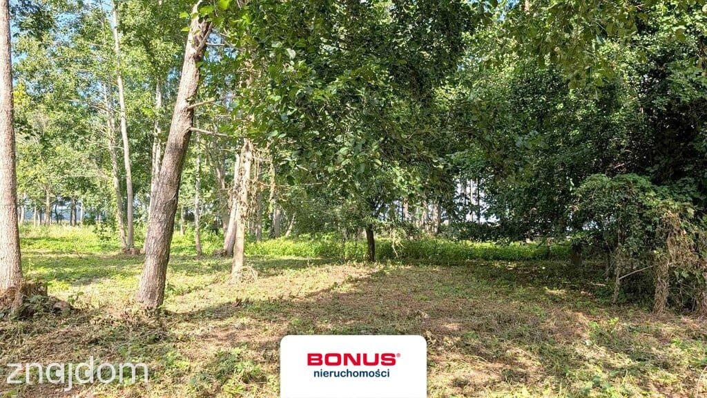 Działka budowlano-usługowa z linią brzegową - zdjęcie 10