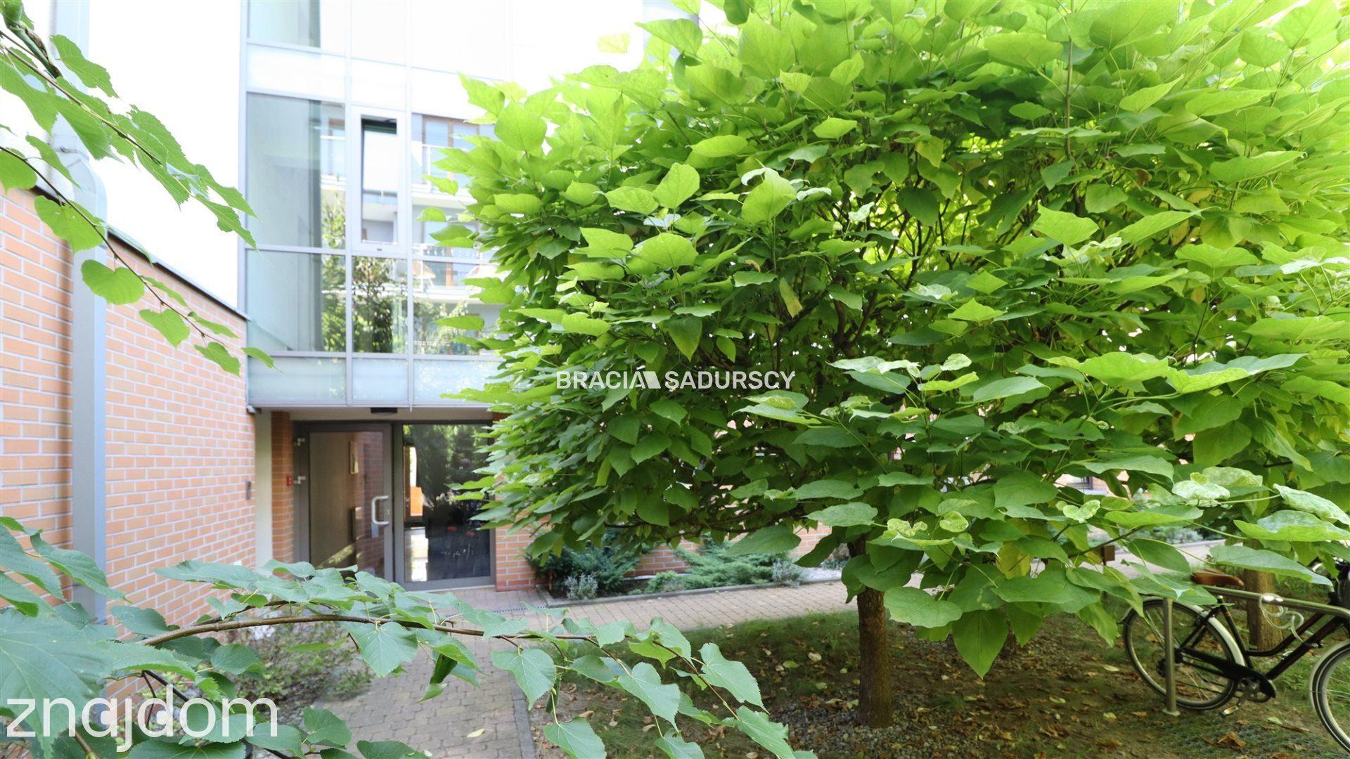 Oferta BS5-MS-313647-23 - zdjęcie 17
