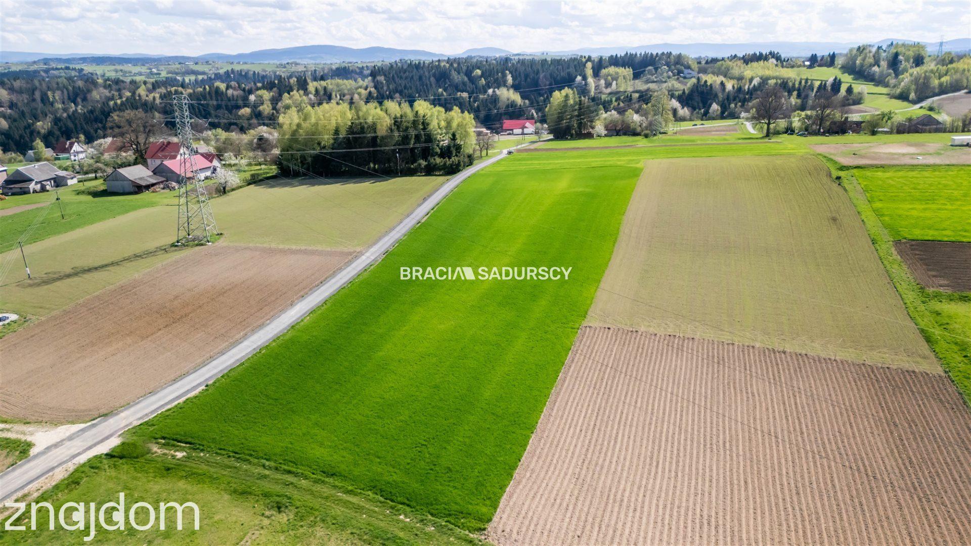 Działka budowlana / 34 + 24 ar - zdjęcie 7