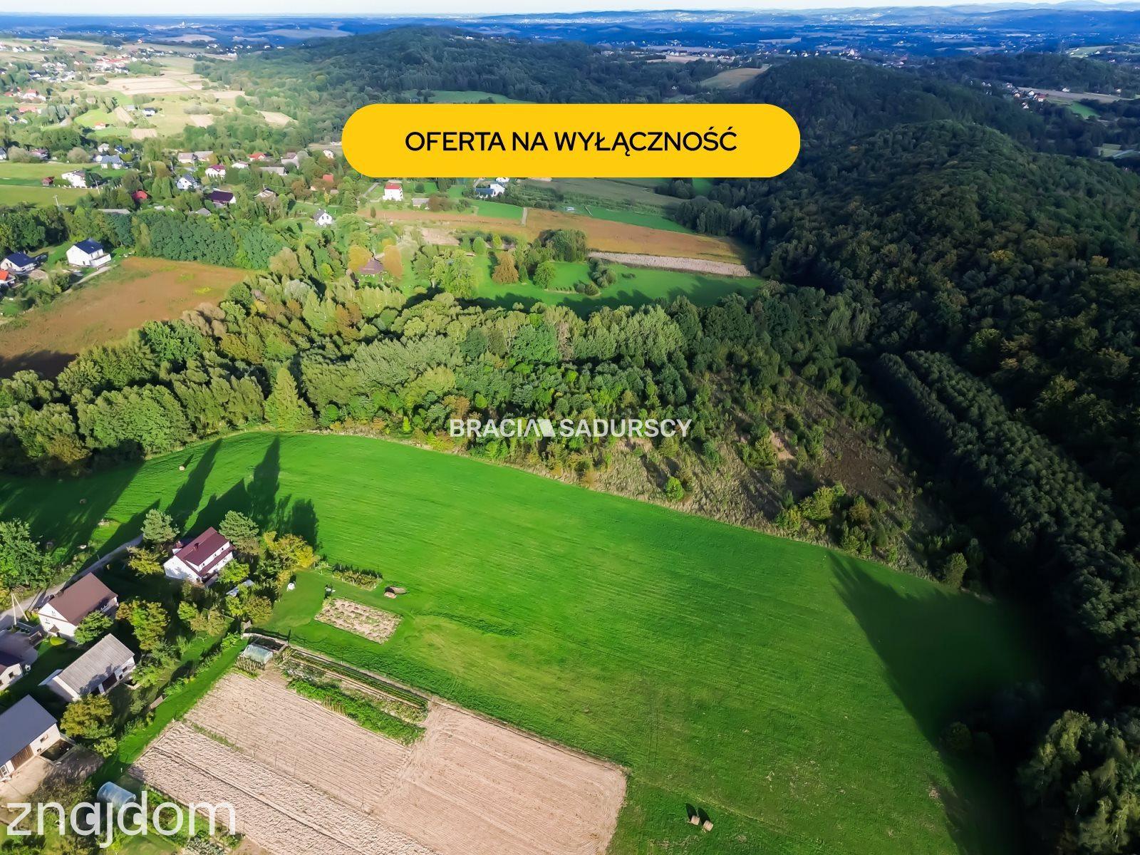 Duża działka z potencjałem inwestycyjnym – 2,52 ha
