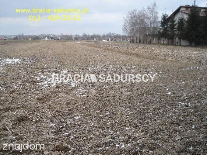 działka rolno-budowlana o powierzchni 89 arów - zdjęcie 12