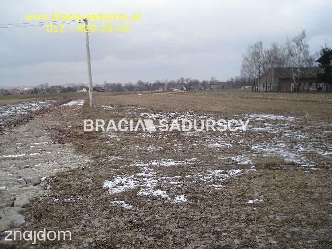 działka rolno-budowlana o powierzchni 89 arów - zdjęcie 3