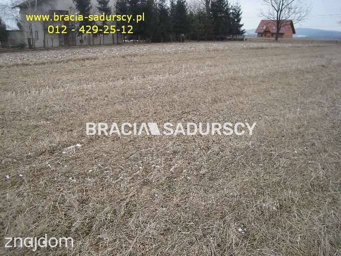 działka rolno-budowlana o powierzchni 89 arów - zdjęcie 7
