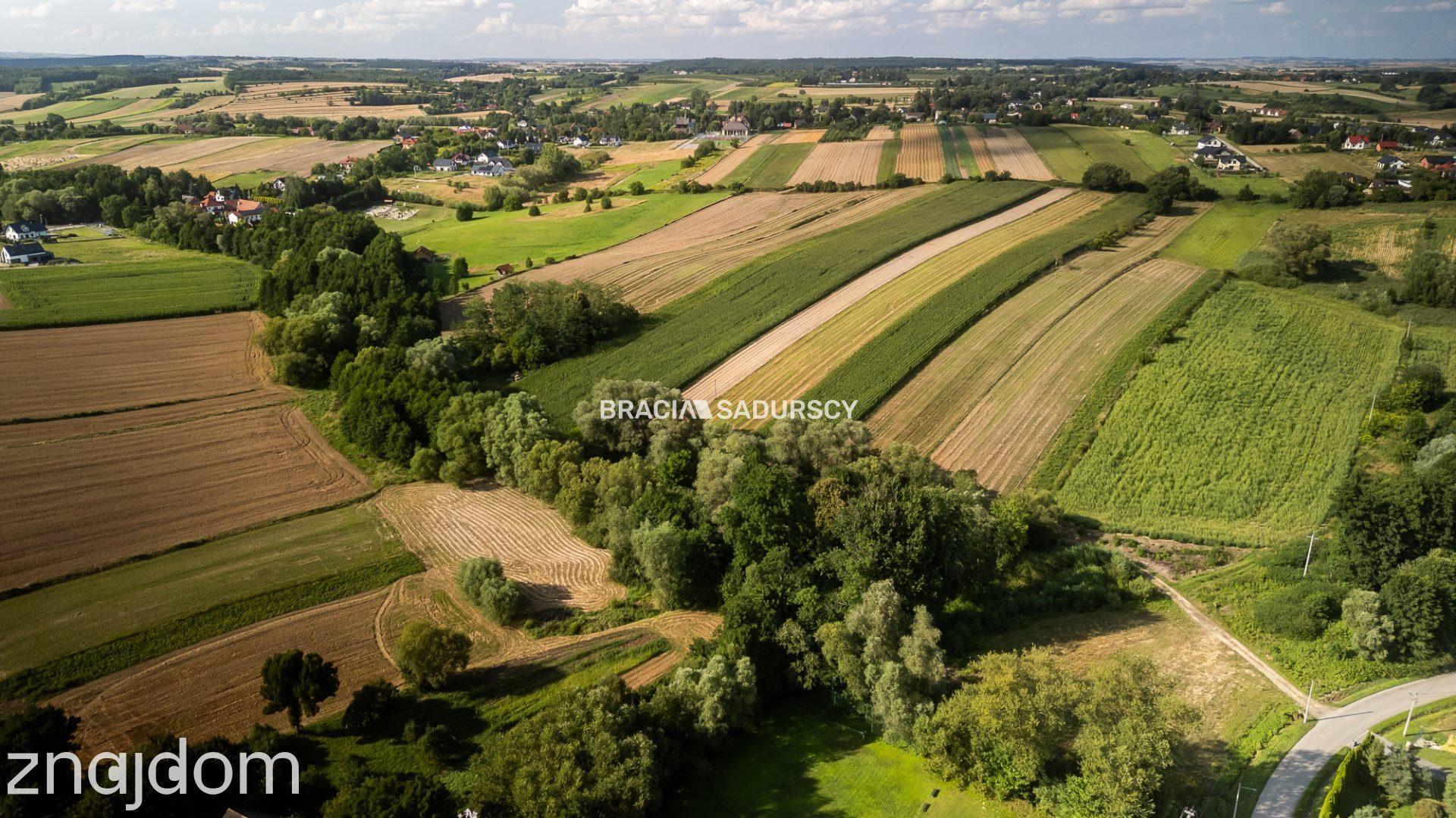 Zdzięsławice, gmina Michałowice. Działka 15 arów - zdjęcie 9