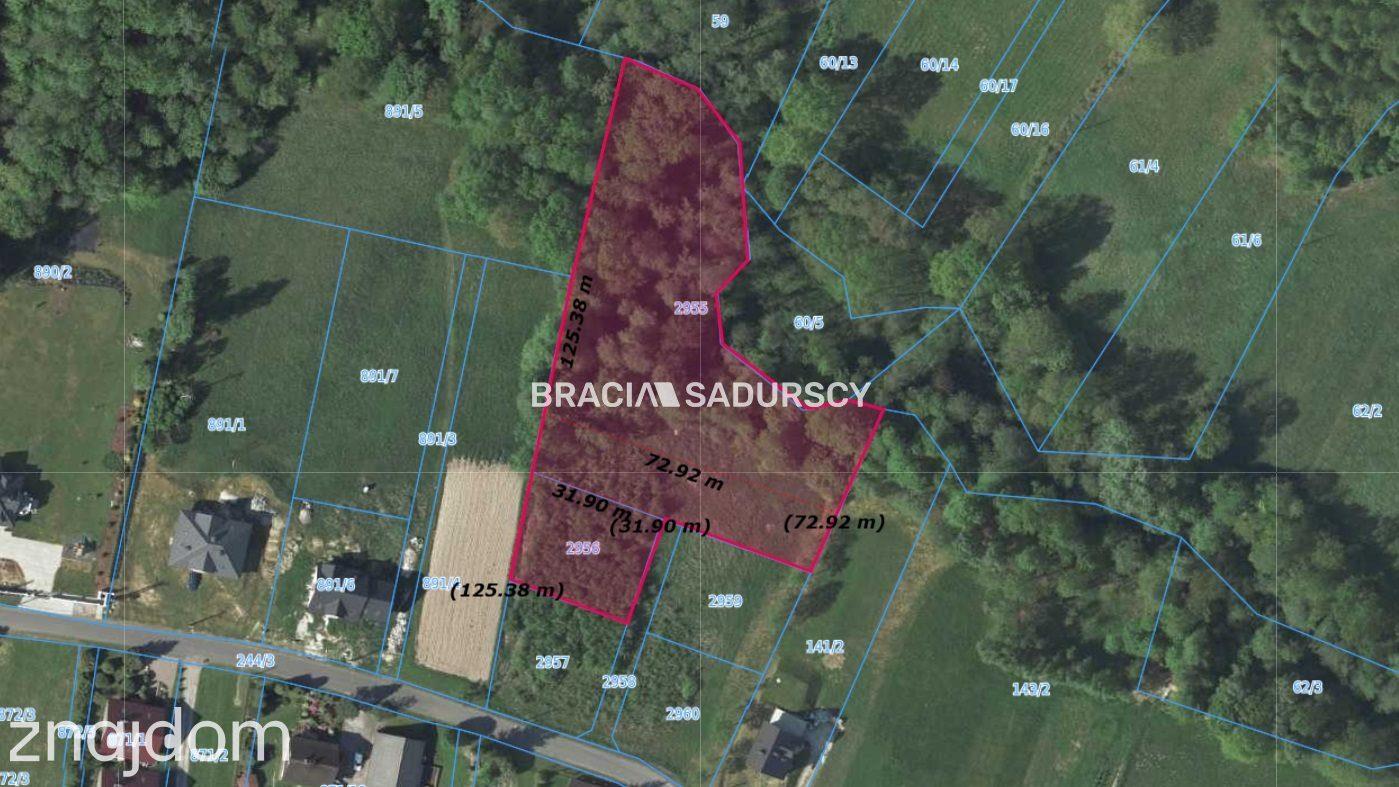 Działka budowlano-leśna. Siepraw. - zdjęcie 2