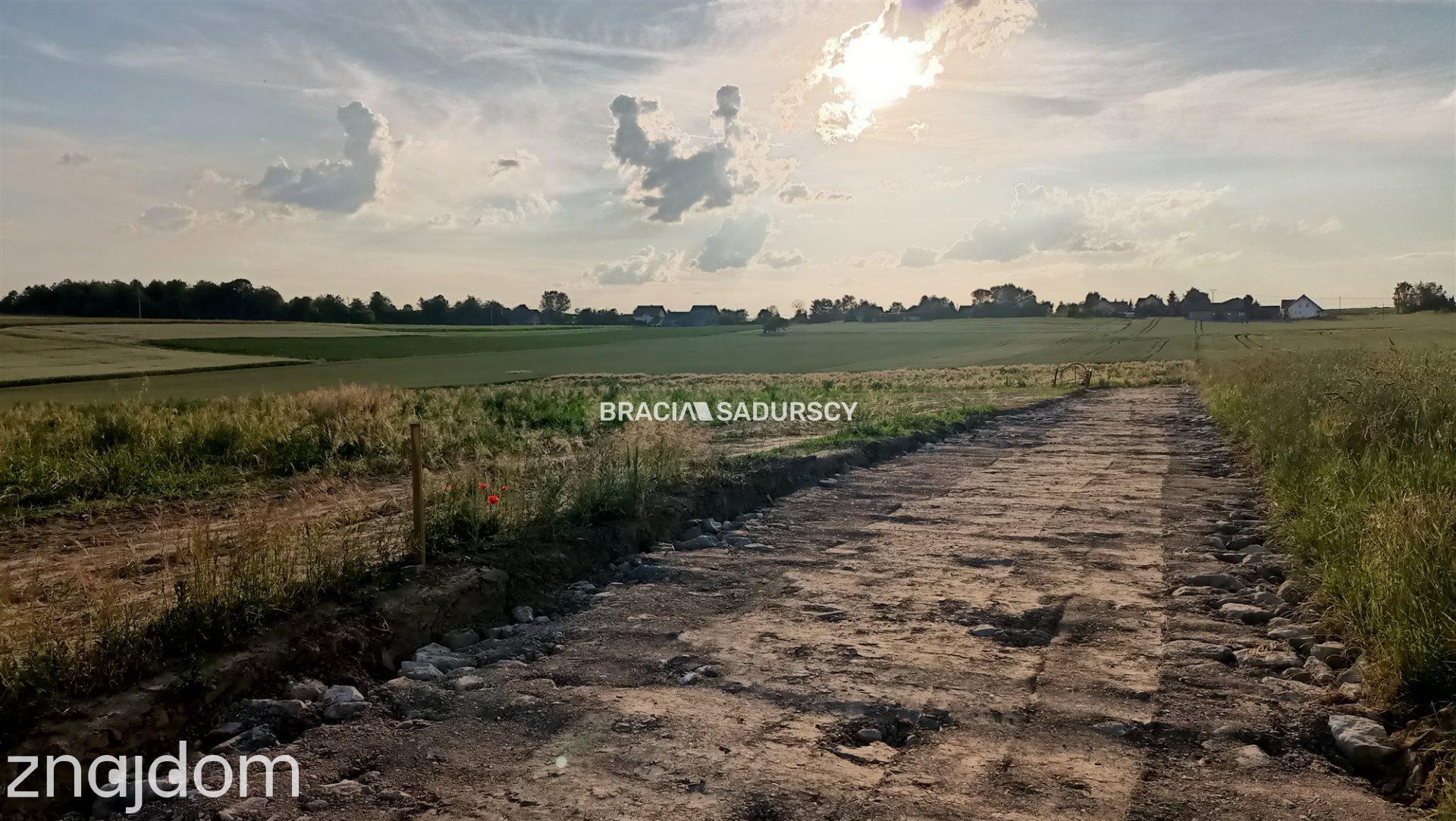 Działka 25 ara, gm. Iwanowice- Sieciechowice - zdjęcie 7