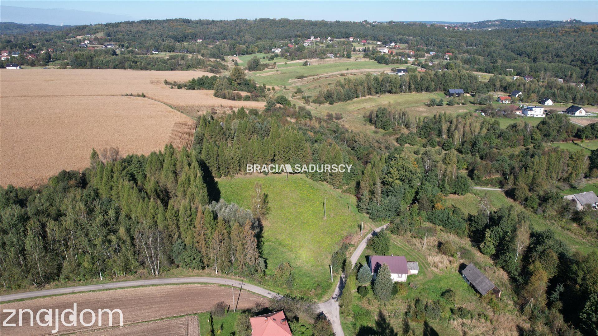 Działka budowlana 8900 m2 Poręba Żegoty - zdjęcie 11