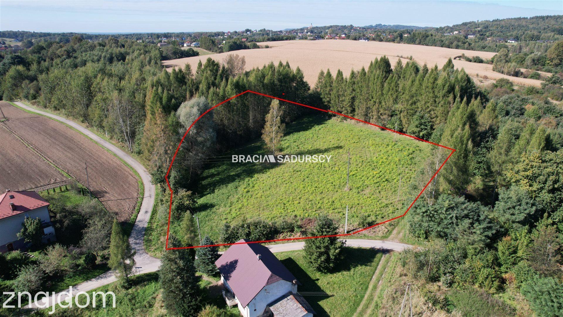 Działka budowlana 8900 m2 Poręba Żegoty - zdjęcie 12