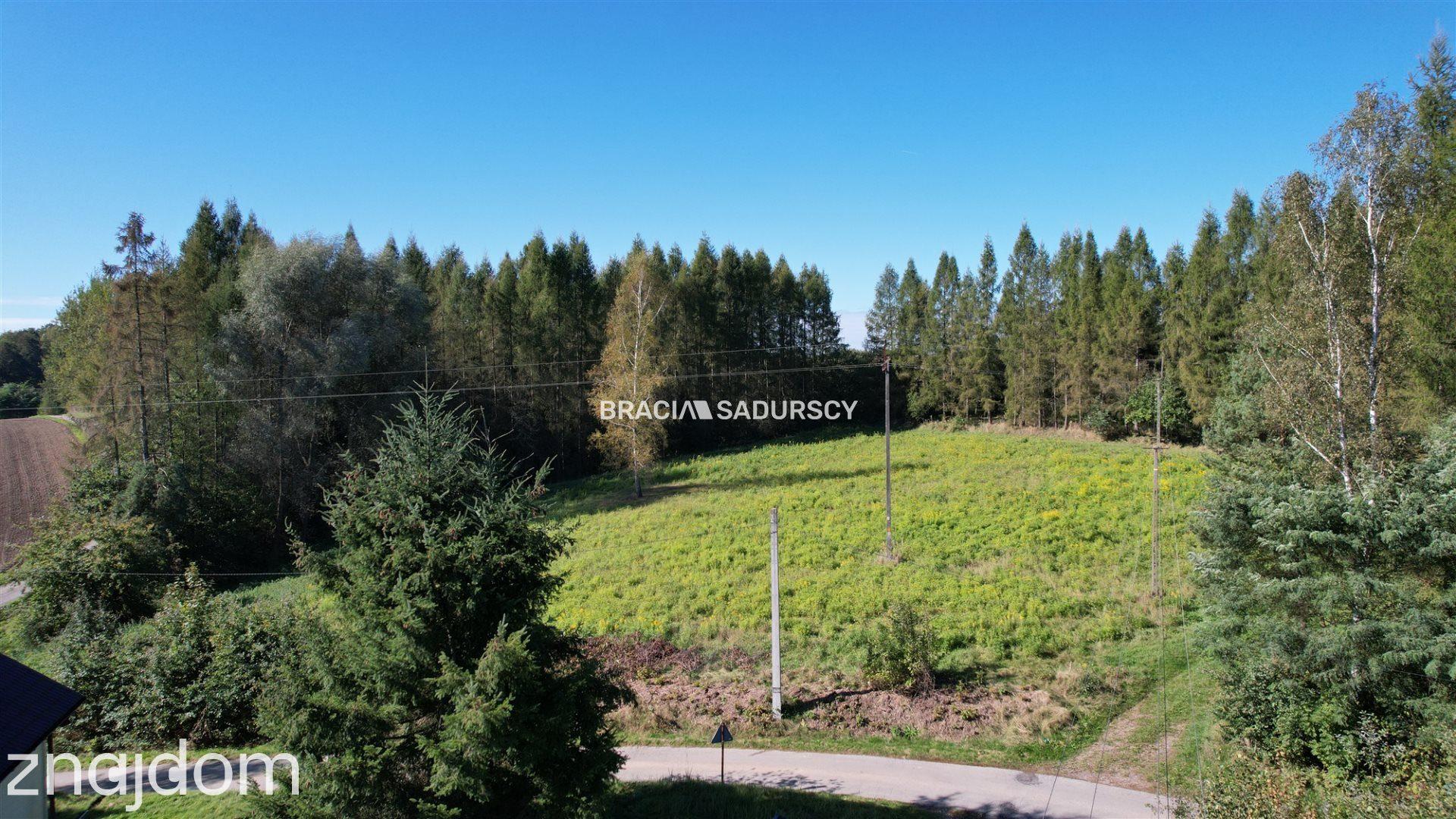 Działka budowlana 8900 m2 Poręba Żegoty - zdjęcie 15