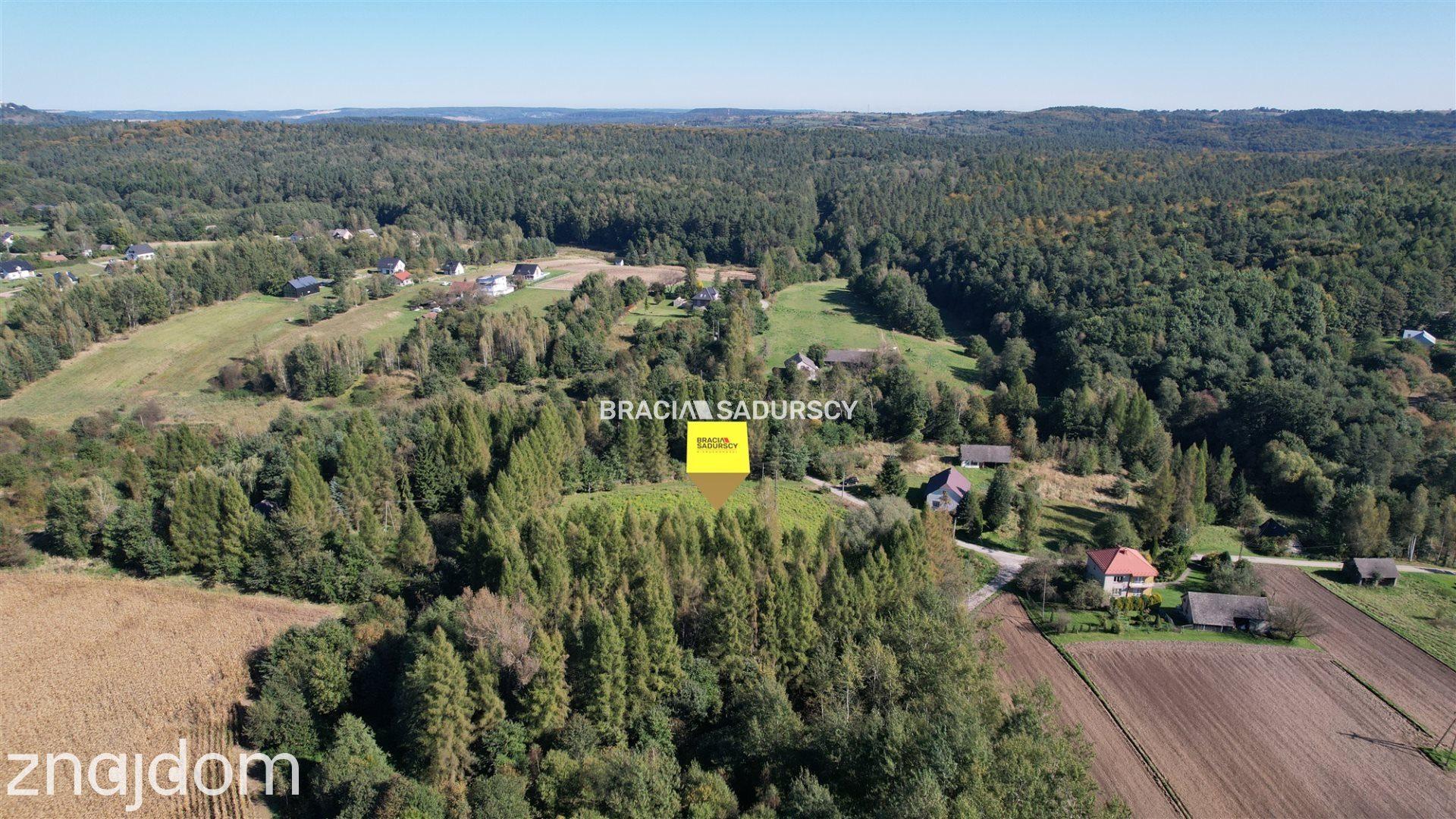 Działka budowlana 8900 m2 Poręba Żegoty - zdjęcie 16