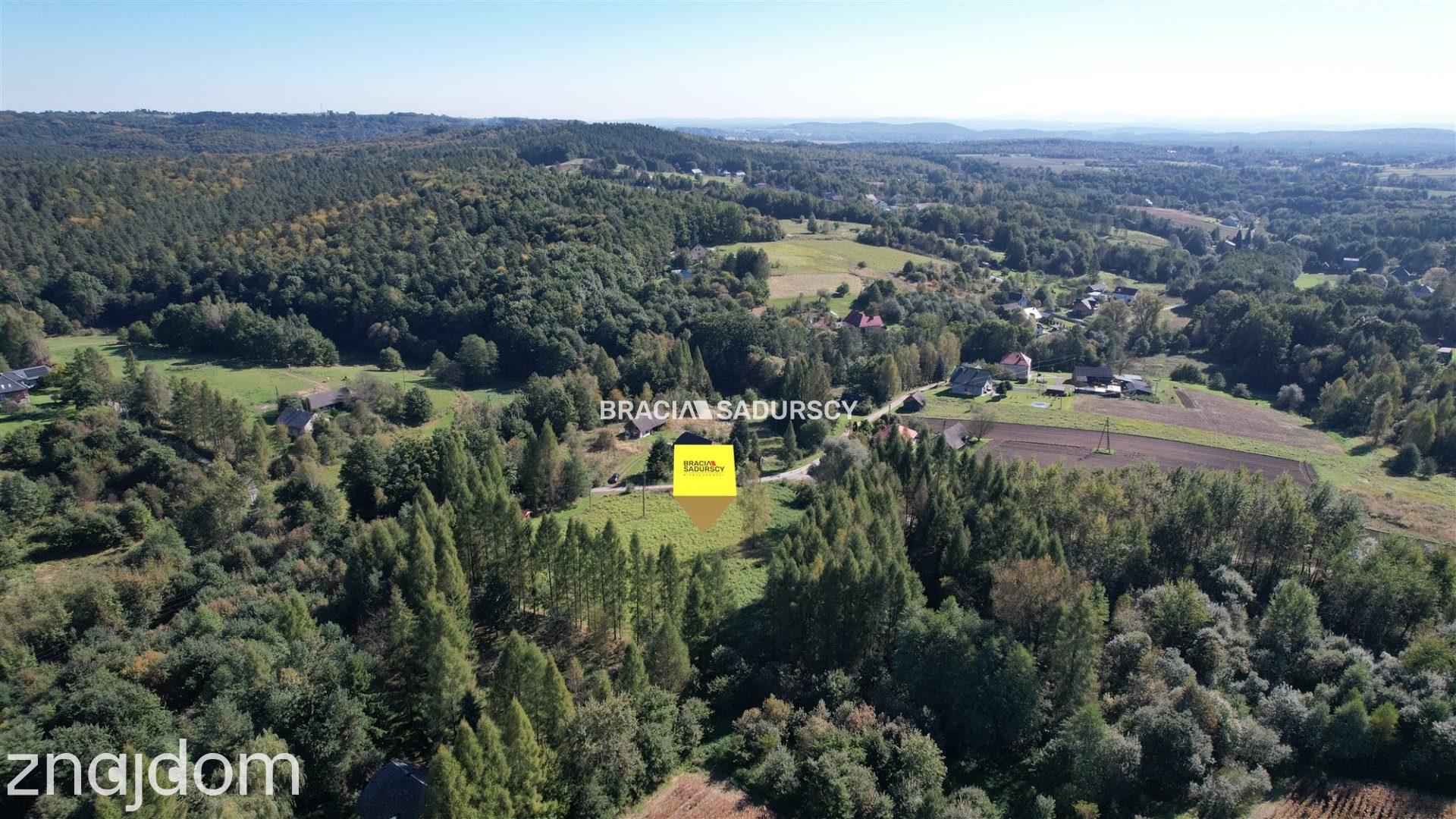 Działka budowlana 8900 m2 Poręba Żegoty - zdjęcie 17