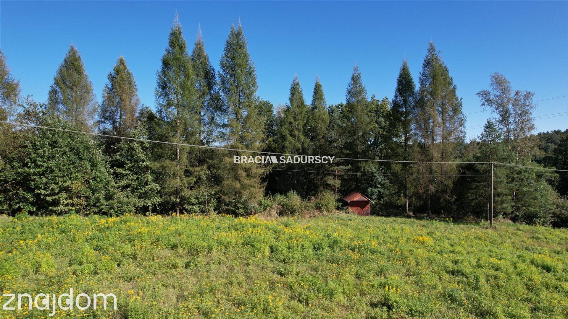 Działka budowlana 8900 m2 Poręba Żegoty - zdjęcie 19