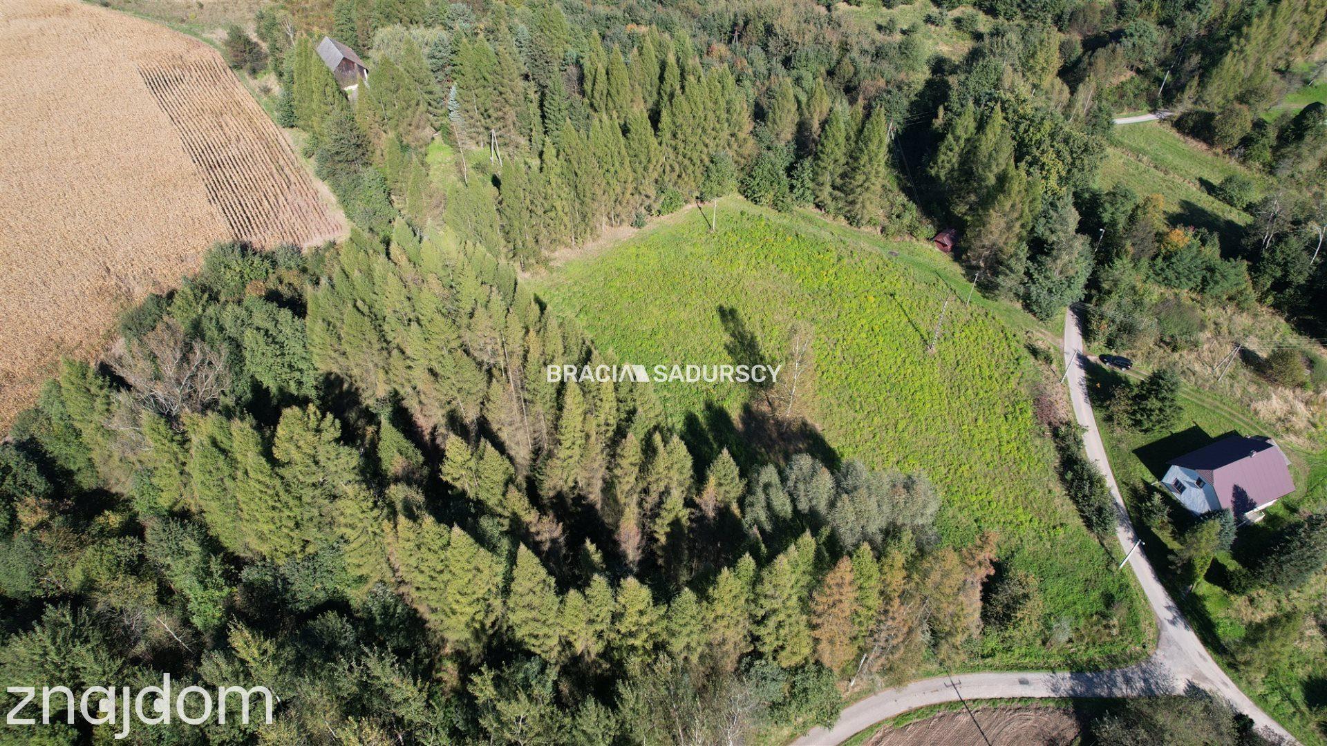 Działka budowlana 8900 m2 Poręba Żegoty - zdjęcie 2