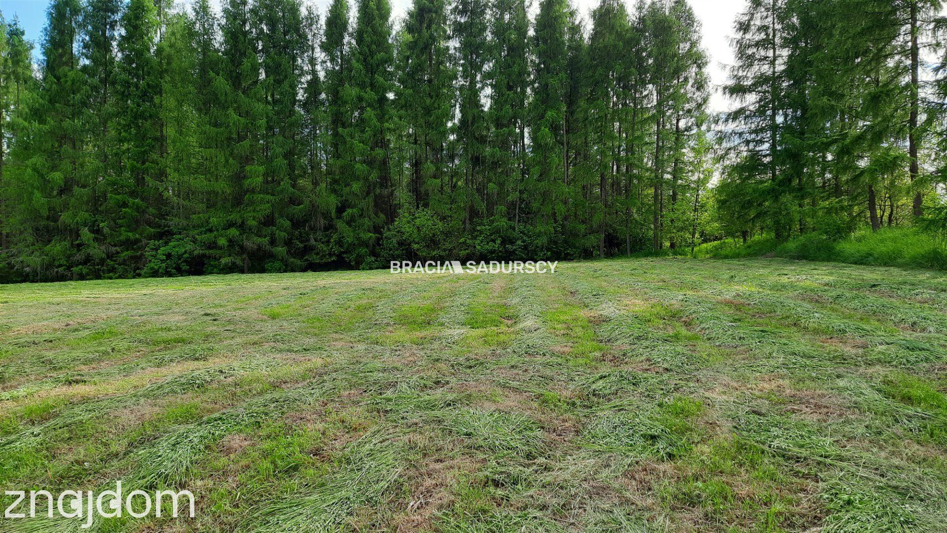 Działka budowlana 8900 m2 Poręba Żegoty - zdjęcie 20